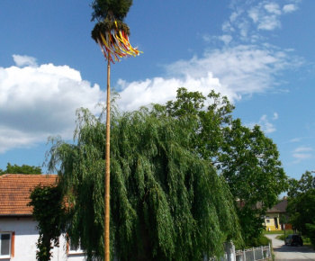 Stavanie mája