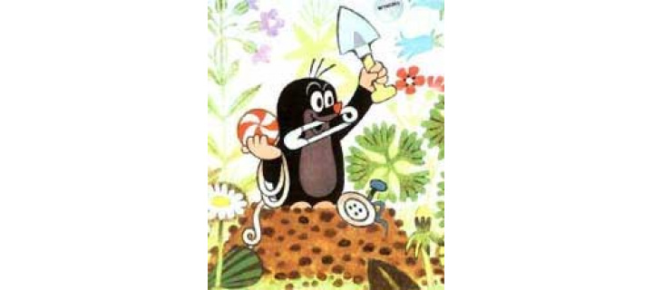 Letná stanovačka 2024